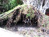 IMG_0408.jpg